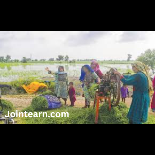 Floods Wipe Out Soybean Crop, Woman Farmer Struggles to Make Ends Meet Ahead of Diwali