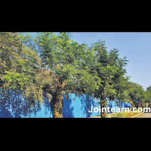 Centre Slashes Green Cover Mandate for Industrial Estates from 33% to 10%