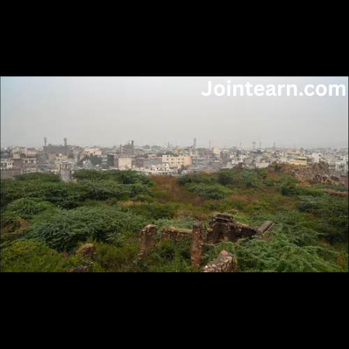 Delhi’s Southern Ridge Gets Legal Shield: Government Moves to Notify 4,100 Hectares as Reserved Forest, Tightens Tree Transplantation Rules