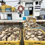 Japan Resumes Seafood Exports to China After Fukushima Wastewater Ban Lifted