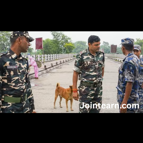 Nepal-India Border Points Sealed for 72 Hours Ahead of Second Phase of Bihar Elections