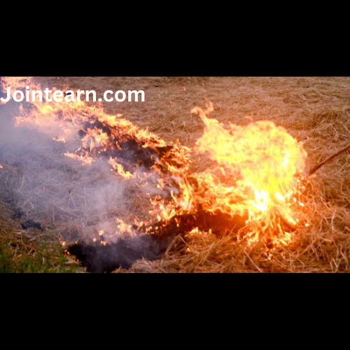 Why FIRs Over Farm Fires in Punjab Often Fail, Yet Burning Declines: Political Hot Potato Explained