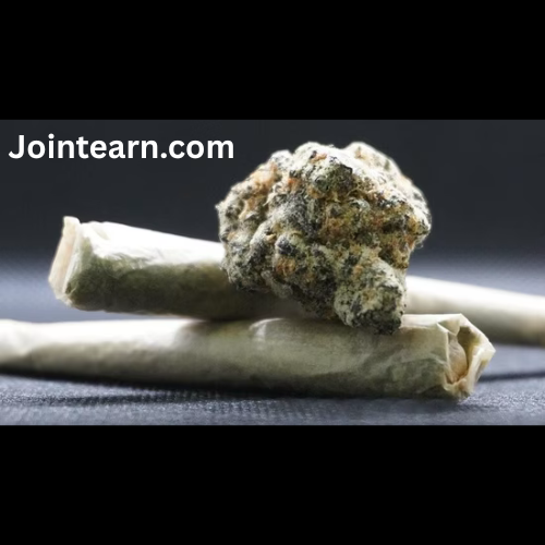 Noida Ganja Gang Busted: How Marijuana Was Disguised and Delivered via Apps