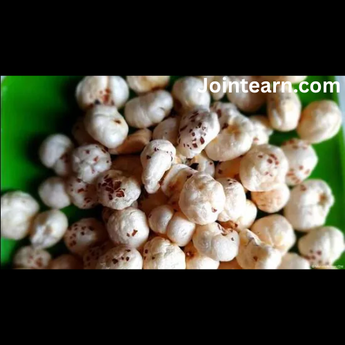 Bihar’s Makhana Boom: Fox Nuts Transforming Farmers’ Lives in Purnia and Katihar