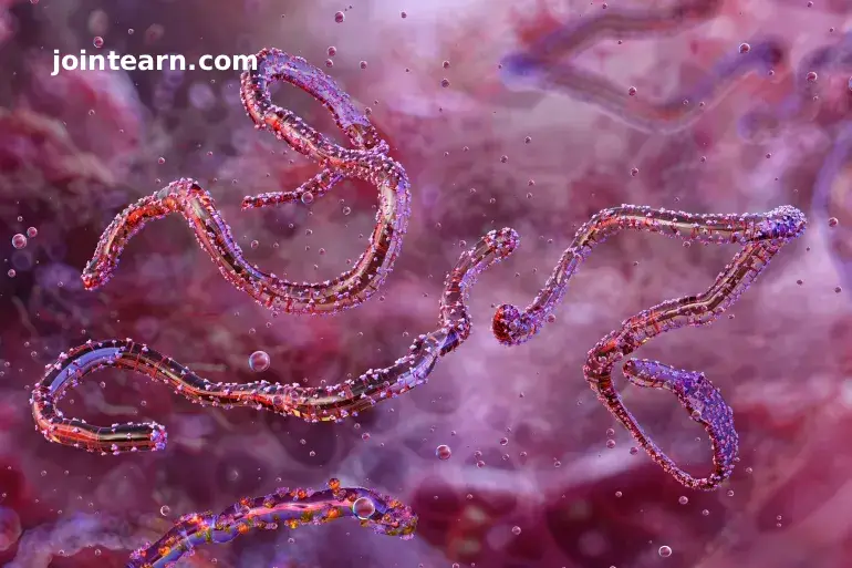 Ethiopia Confirms First Marburg Virus Outbreak Amid Public Health Concerns