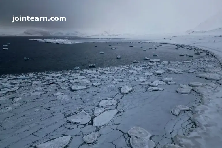 Arctic Records Hottest Year Since 1900 as Climate Crisis Accelerates