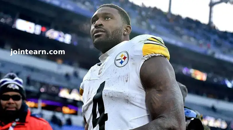 Steelers Wide Receiver DK Metcalf Involved in Heated Altercation With Fan During Lions Game