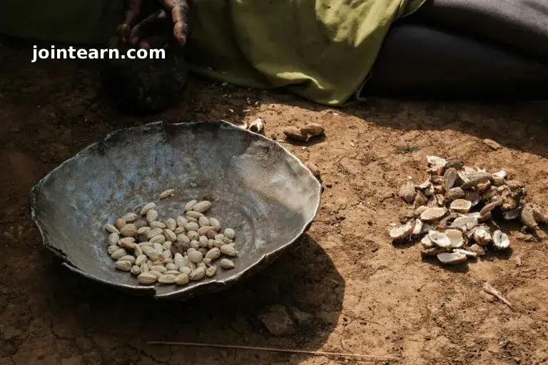 Trapped, Starving, and Living in Fear: Civilians Struggle in Besieged Sudan City of Kadugli