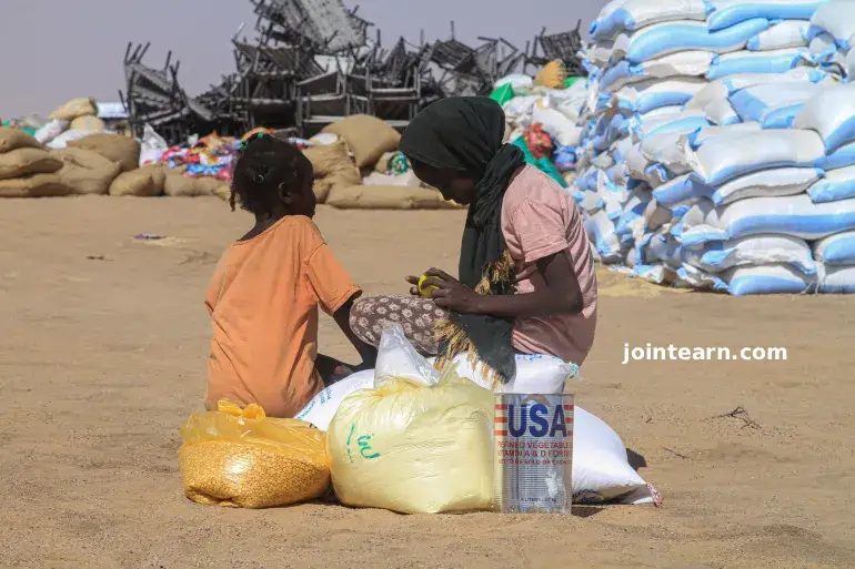 ‘New World Disorder’ Puts Sudan and Palestine at Top of IRC’s 2026 Emergency Watchlist