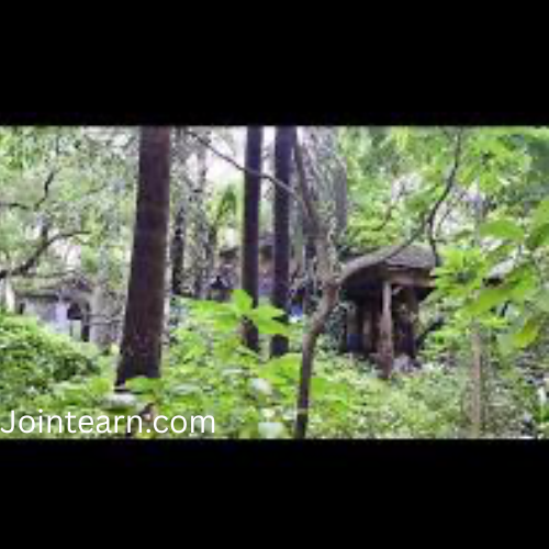 Union Environment Ministry Eases Rules for Private Afforestation Projects on Forest Land