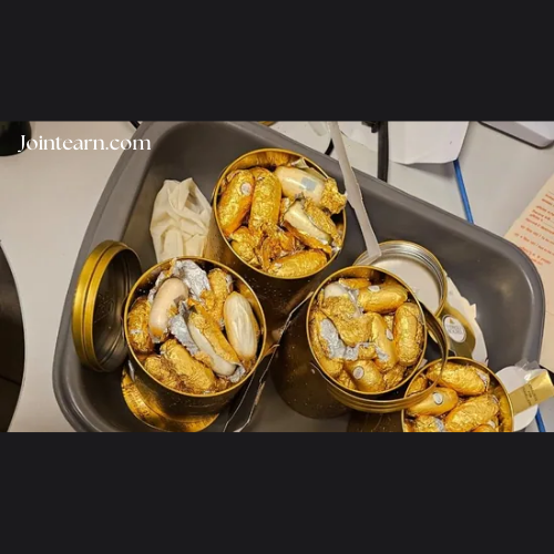 Two Indian Truck Drivers Arrested in Indiana for Trafficking Over 300 Pounds of Cocaine, Enough to Kill 1,13,000 Americans