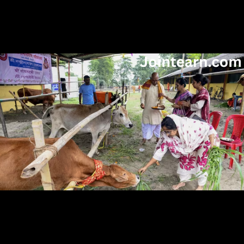 Uttarakhand Launches Schemes to Shelter Stray Cattle, Offering Up to ₹12,000 Monthly for Rural Caregivers