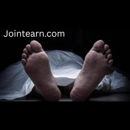 ‘Water Is Too Cold, There Are Iron Rods’: Witnesses Allege Inaction by Authorities After Noida Techie’s Death in Drain