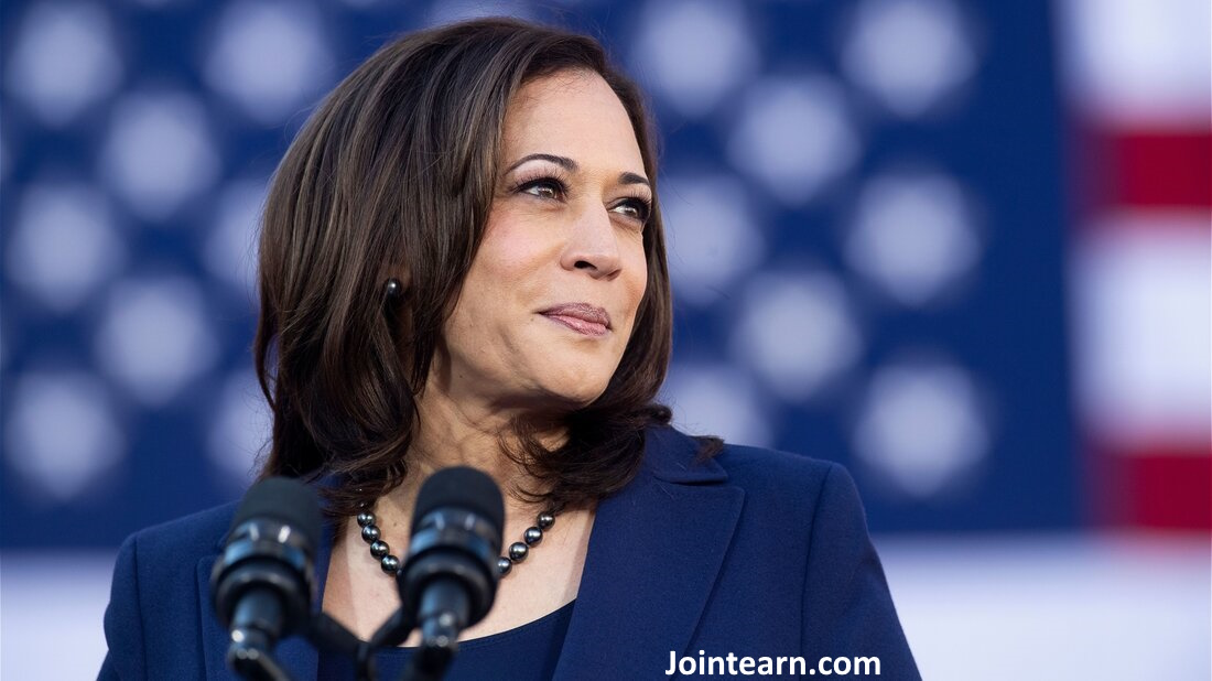“US election: Campaign Co-chair Explains Why Kamala Harris Isn’t Addressing Supporters Right Now”