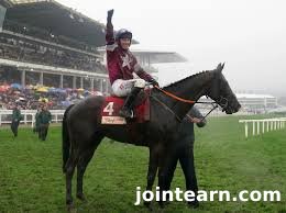 Cheltenham Festival Star Delta Work Passes Away at 12